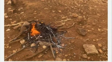 إشعال النار في مكان محظور.. القبض على مواطن بمحمية الإمام فيصل الملكية